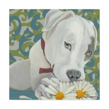 Dlynn Roll 'Dlynns Dogs Patch' Canvas Art,35x35